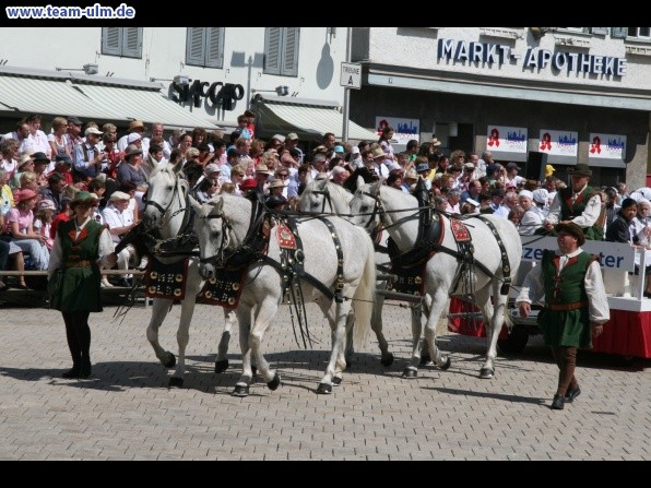 Festumzug - Hoch zu Ross @ Biberach - Bild 4