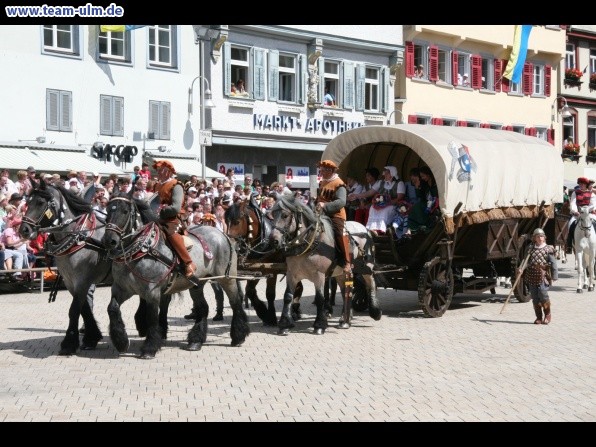 Festumzug - Hoch zu Ross @ Biberach - Bild 41