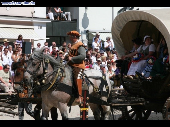 Festumzug - Hoch zu Ross @ Biberach - Bild 42