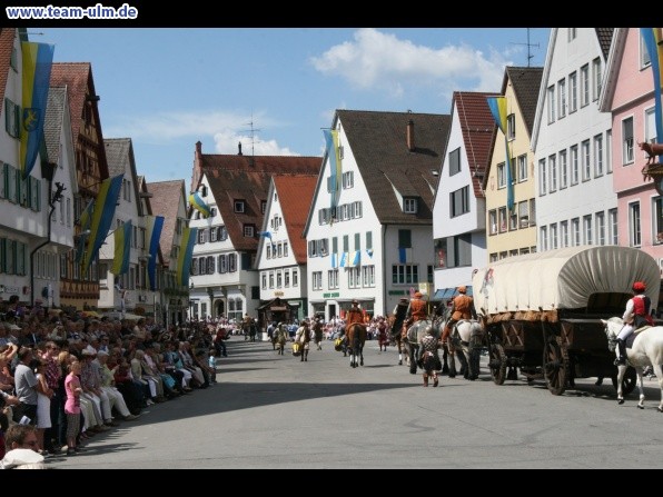 Festumzug - Hoch zu Ross @ Biberach - Bild 46