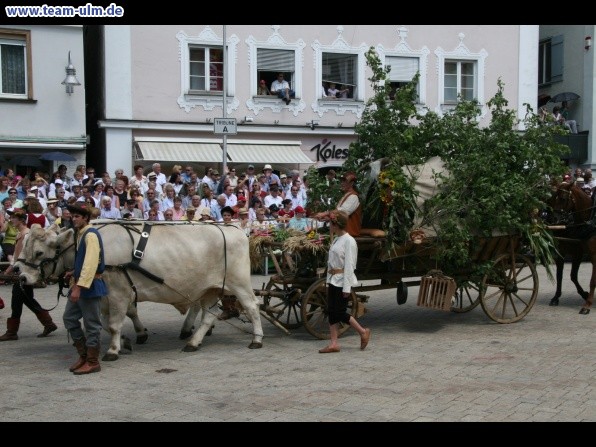 Festumzug - Hoch zu Ross @ Biberach - Bild 48