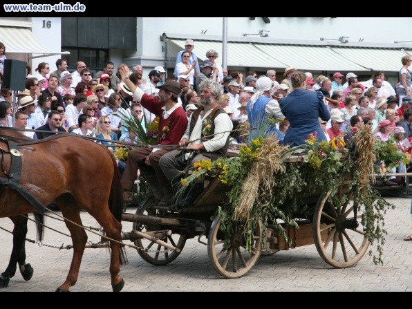 Festumzug - Hoch zu Ross @ Biberach - Bild 49
