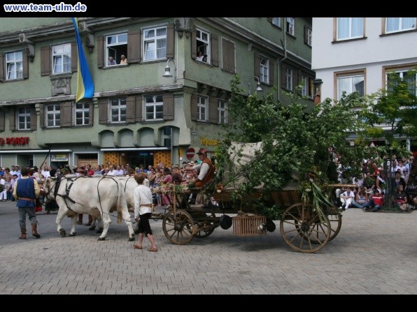 Festumzug - Hoch zu Ross @ Biberach - Bild 50