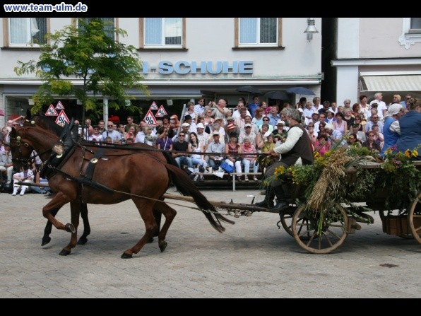 Festumzug - Hoch zu Ross @ Biberach - Bild 51