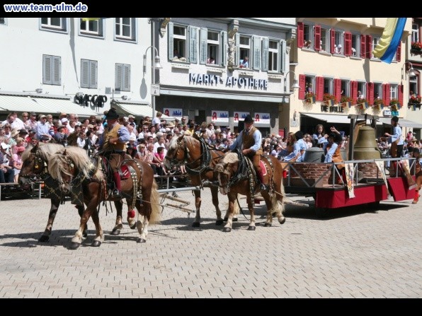 Festumzug - Hoch zu Ross @ Biberach - Bild 54