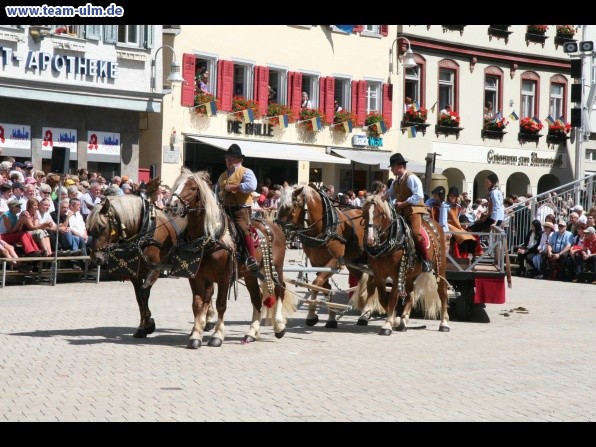 Festumzug - Hoch zu Ross @ Biberach - Bild 55
