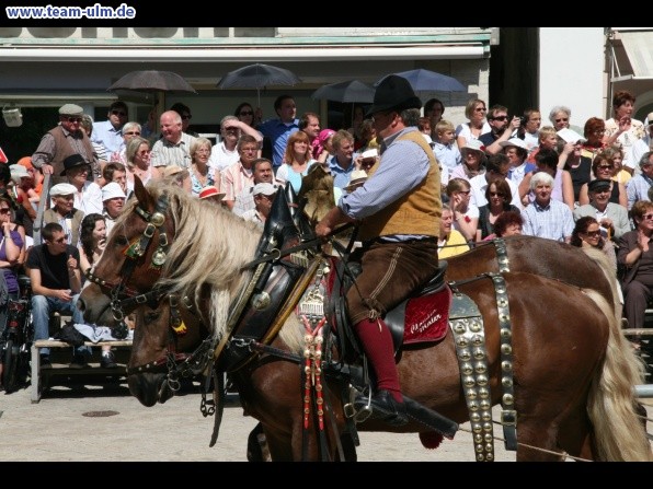 Festumzug - Hoch zu Ross @ Biberach - Bild 56