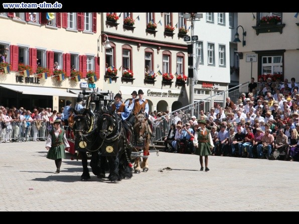 Festumzug - Hoch zu Ross @ Biberach - Bild 57