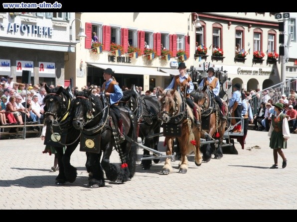 Festumzug - Hoch zu Ross @ Biberach - Bild 58