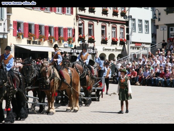 Festumzug - Hoch zu Ross @ Biberach - Bild 59