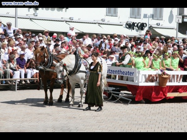 Festumzug - Hoch zu Ross @ Biberach - Bild 6
