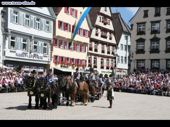 Festumzug - Hoch zu Ross @ Biberach - Bild 60