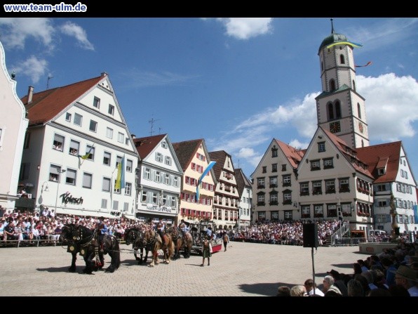 Festumzug - Hoch zu Ross @ Biberach - Bild 61