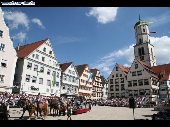Festumzug - Hoch zu Ross @ Biberach - Bild 62