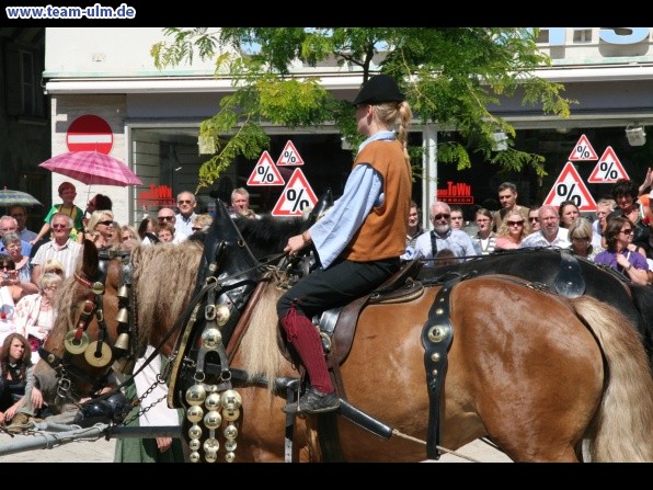 Festumzug - Hoch zu Ross @ Biberach - Bild 63