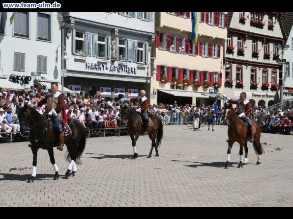 Festumzug - Hoch zu Ross @ Biberach - Bild 64