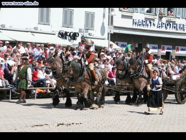 Festumzug - Hoch zu Ross @ Biberach - Bild 67