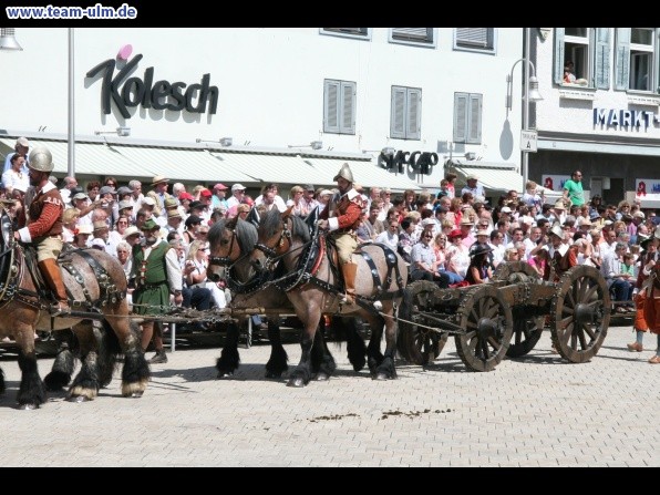 Festumzug - Hoch zu Ross @ Biberach - Bild 68