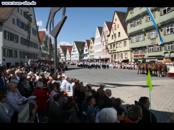 Festumzug - Hoch zu Ross @ Biberach - Bild 7