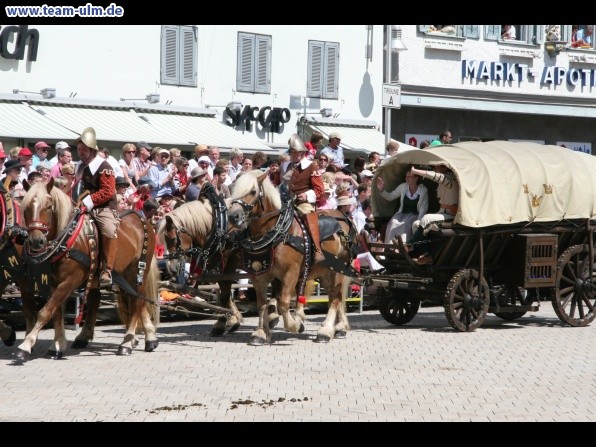 Festumzug - Hoch zu Ross @ Biberach - Bild 71