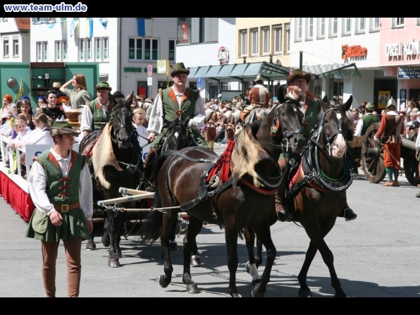 Festumzug - Hoch zu Ross @ Biberach - Bild 72