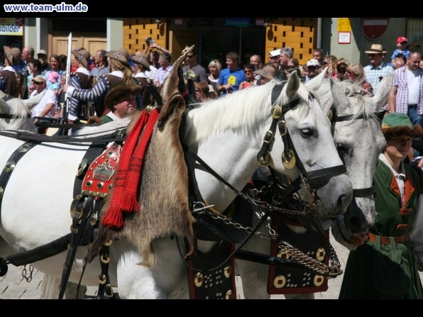 Festumzug - Hoch zu Ross @ Biberach - Bild 73