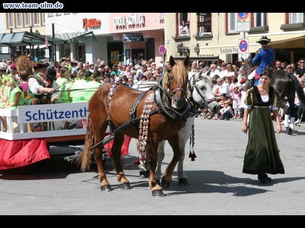 Festumzug - Hoch zu Ross @ Biberach - Bild 74