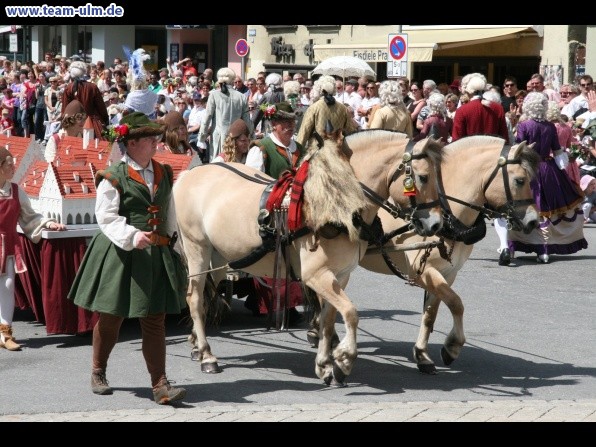 Festumzug - Hoch zu Ross @ Biberach - Bild 90