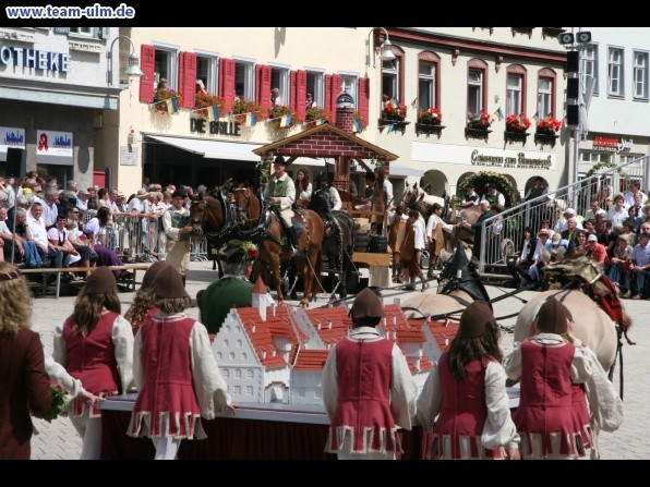 Festumzug - Hoch zu Ross @ Biberach - Bild 91