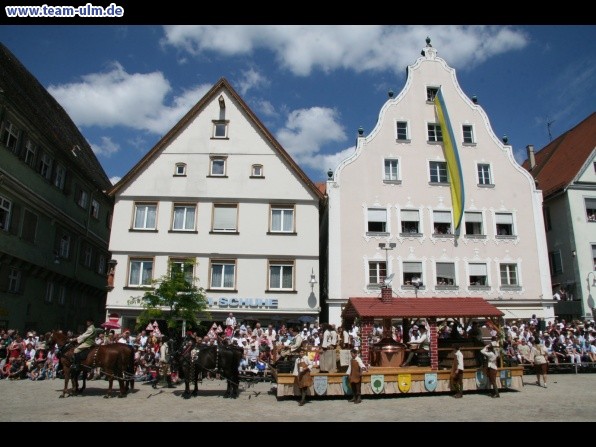 Festumzug - Hoch zu Ross @ Biberach - Bild 92