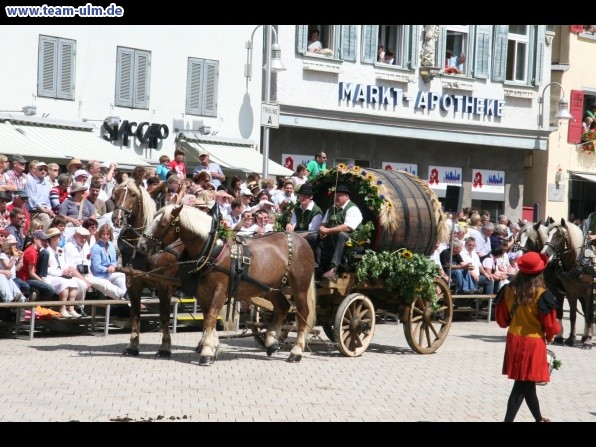 Festumzug - Hoch zu Ross @ Biberach - Bild 94