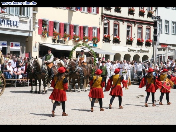 Festumzug - Hoch zu Ross @ Biberach - Bild 95