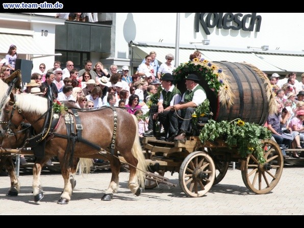 Festumzug - Hoch zu Ross @ Biberach - Bild 97