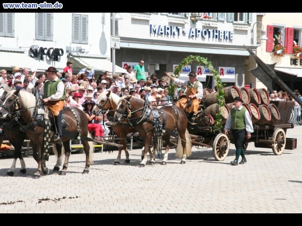 Festumzug - Hoch zu Ross @ Biberach - Bild 98