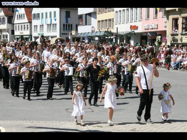 Festumzug - Musiker, Trommler usw @ Biberach - Bild 100