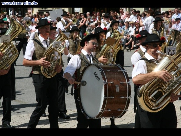 Festumzug - Musiker, Trommler usw @ Biberach - Bild 156
