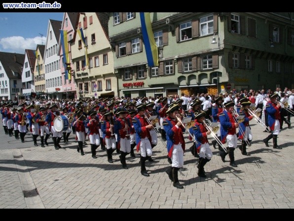 Festumzug - Musiker, Trommler usw @ Biberach - Bild 214