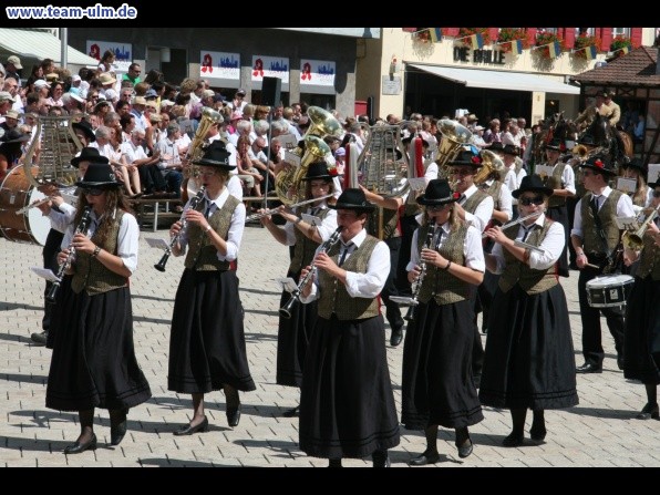 Festumzug - Musiker, Trommler usw @ Biberach - Bild 35
