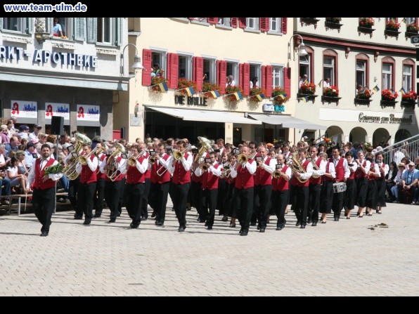Festumzug - Musiker, Trommler usw @ Biberach - Bild 43