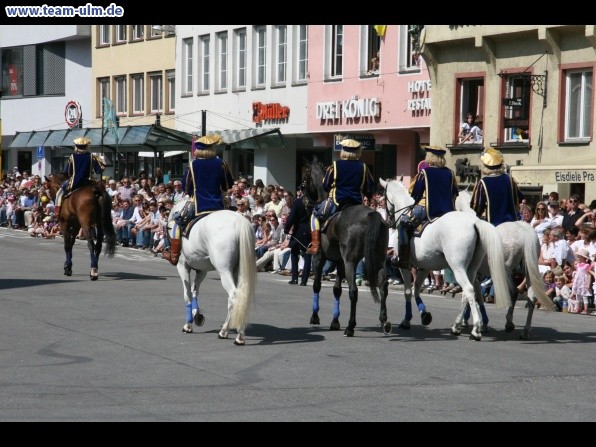 Festumzug - Musiker, Trommler usw @ Biberach - Bild 5