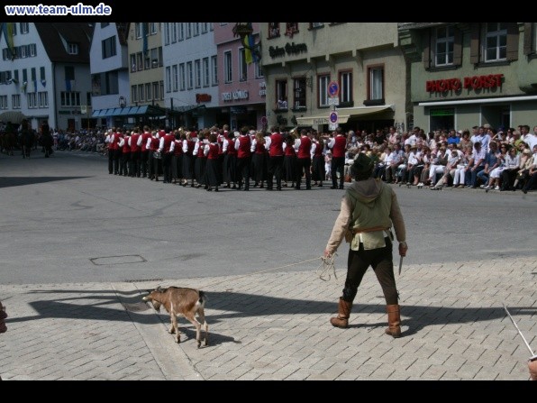 Festumzug - Musiker, Trommler usw @ Biberach - Bild 50