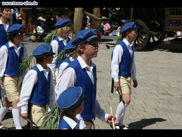 Festumzug - Musiker, Trommler usw @ Biberach - Bild 96