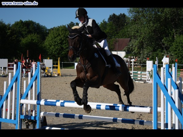 Reitturnier @ Blaubeuren - Bild 23