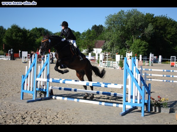 Reitturnier @ Blaubeuren - Bild 24