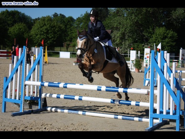Reitturnier @ Blaubeuren - Bild 43