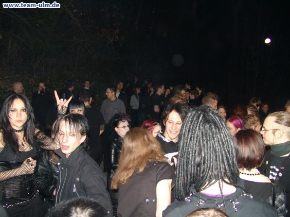 Nacht und Nebel @ Cat - Bild 67