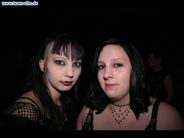 Nacht und Nebel @ Cat - Bild 154