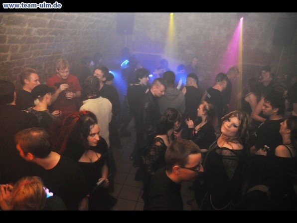 Nacht und Nebel @ Cat - Bild 24