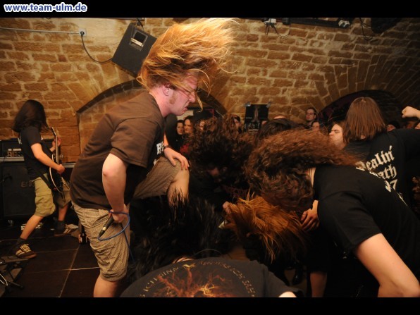 Konzert @ Cat - Bild 46