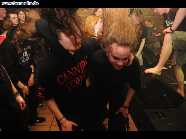 Konzert @ Cat - Bild 61
